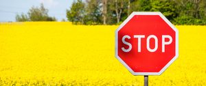 Preview wallpaper stop, sign, word, field, flowers