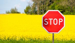 Preview wallpaper stop, sign, word, field, flowers