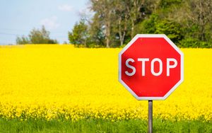Preview wallpaper stop, sign, word, field, flowers
