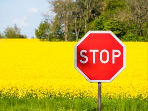 Preview wallpaper stop, sign, word, field, flowers