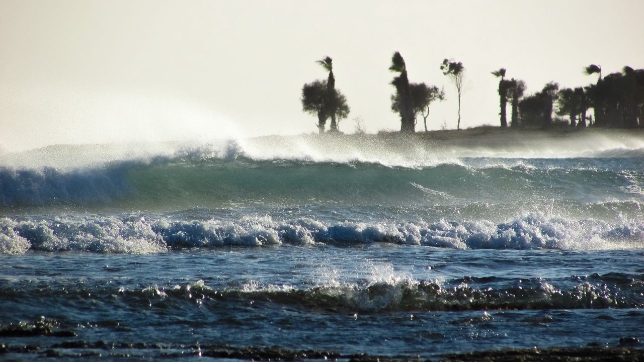 Wallpaper storm, sea, waves, palm trees