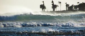 Preview wallpaper storm, sea, waves, palm trees