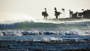 Preview wallpaper storm, sea, waves, palm trees