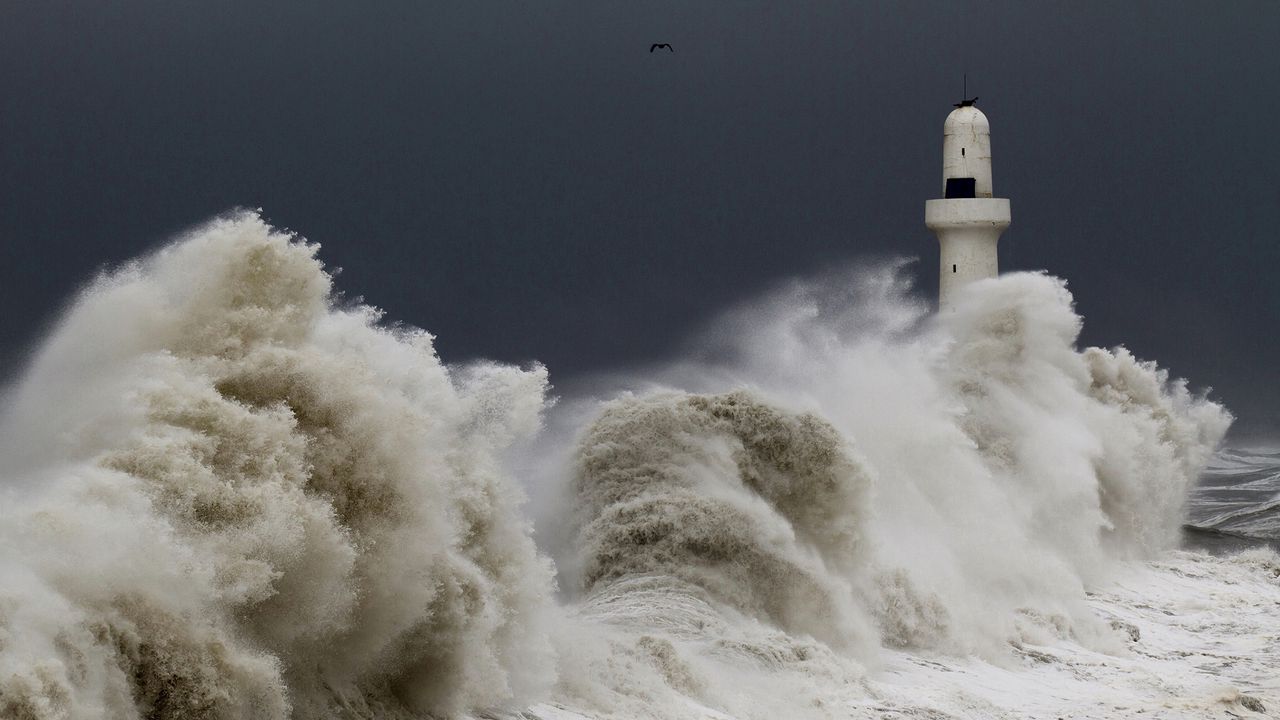 Wallpaper storm, tempest, lighthouse, sky, birds, waves