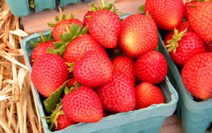 Preview wallpaper strawberries, berries, basket