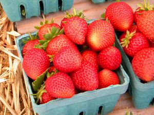 Preview wallpaper strawberries, berries, basket