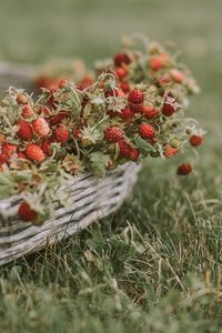 Preview wallpaper strawberries, berries, basket, ripe, grass