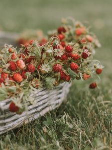 Preview wallpaper strawberries, berries, basket, ripe, grass