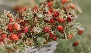 Preview wallpaper strawberries, berries, basket, ripe, grass