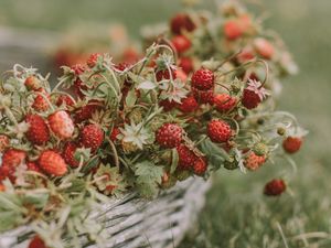 Preview wallpaper strawberries, berries, basket, ripe, grass