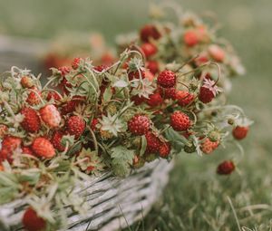 Preview wallpaper strawberries, berries, basket, ripe, grass