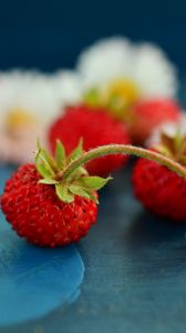 Preview wallpaper strawberries, berries, daisies