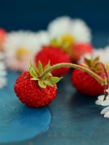 Preview wallpaper strawberries, berries, daisies