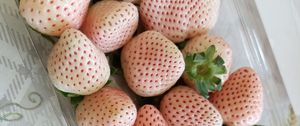 Preview wallpaper strawberries, berries, dessert, food