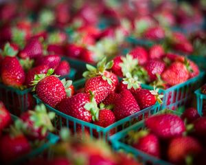 Preview wallpaper strawberries, berries, food, blur