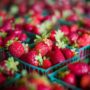 Preview wallpaper strawberries, berries, food, blur