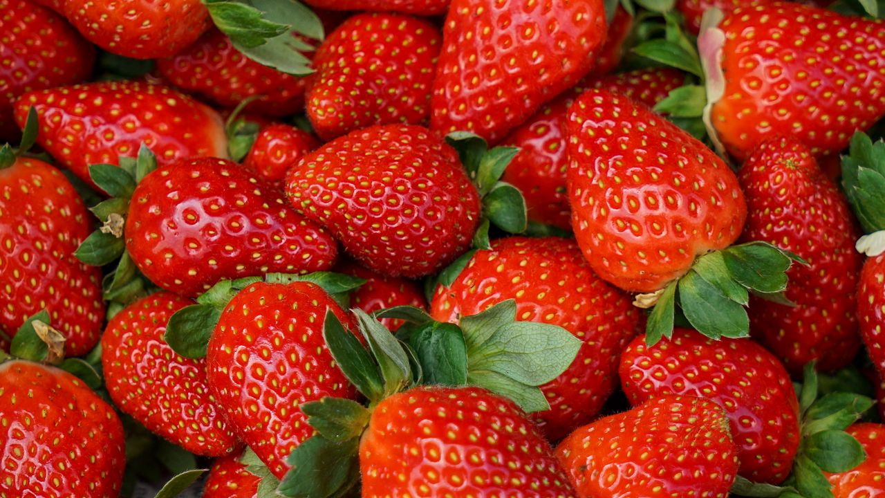Wallpaper strawberries, berries, fresh, juicy, red