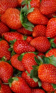 Preview wallpaper strawberries, berries, fresh, juicy, red