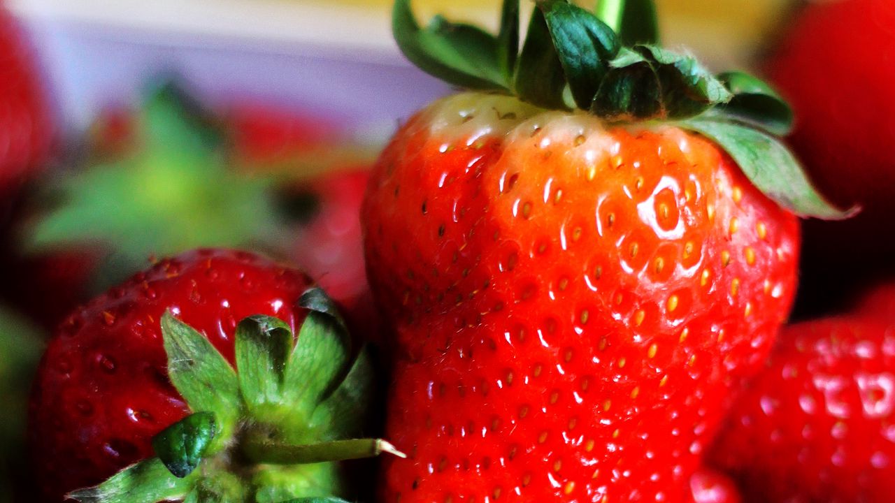 Wallpaper strawberries, berries, fresh, red, ripe