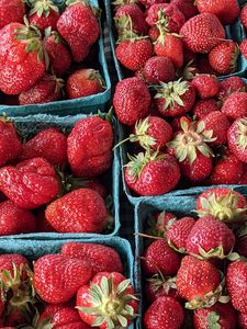 Preview wallpaper strawberries, berries, fruit, ripe, fresh