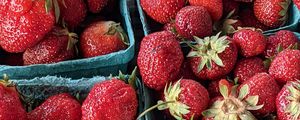 Preview wallpaper strawberries, berries, fruit, ripe, fresh