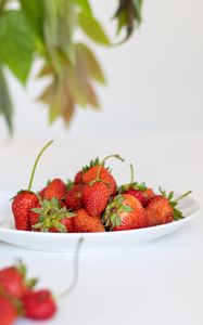 Preview wallpaper strawberries, berries, fruits, dessert