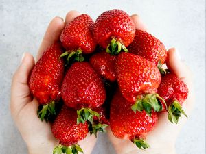 Preview wallpaper strawberries, berries, fruits, hands