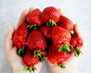 Preview wallpaper strawberries, berries, fruits, hands