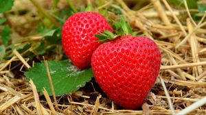 Preview wallpaper strawberries, berries, grass, ripe, close-up