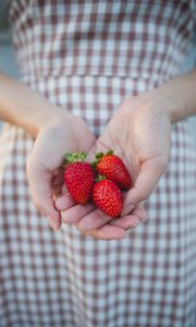 Preview wallpaper strawberries, berries, hands, girl