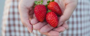 Preview wallpaper strawberries, berries, hands, girl