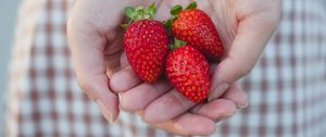 Preview wallpaper strawberries, berries, hands, girl