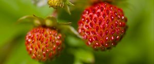 Preview wallpaper strawberries, berries, leaves, plants, macro