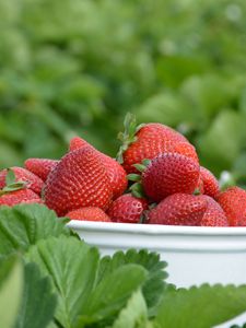 Preview wallpaper strawberries, berries, leaves, bowl, food