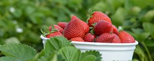 Preview wallpaper strawberries, berries, leaves, bowl, food