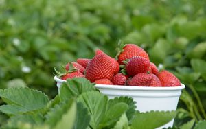 Preview wallpaper strawberries, berries, leaves, bowl, food