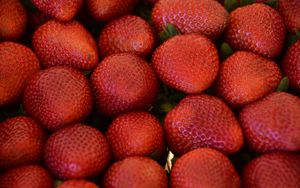Preview wallpaper strawberries, berries, leaves, food, red