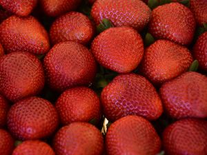 Preview wallpaper strawberries, berries, leaves, food, red