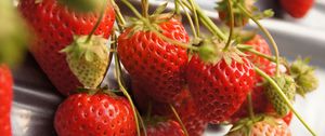 Preview wallpaper strawberries, berries, macro, red, harvest