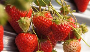 Preview wallpaper strawberries, berries, macro, red, harvest