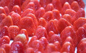 Preview wallpaper strawberries, berries, milk