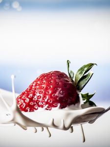 Preview wallpaper strawberries, berries, milk, macro