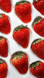 Preview wallpaper strawberries, berries, red, ripe, wet