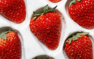 Preview wallpaper strawberries, berries, red, ripe, wet