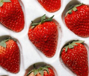 Preview wallpaper strawberries, berries, red, ripe, wet