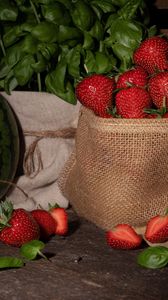 Preview wallpaper strawberries, berries, red, ripe, leaves, bag