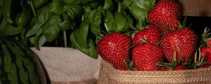 Preview wallpaper strawberries, berries, red, ripe, leaves, bag