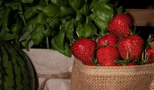 Preview wallpaper strawberries, berries, red, ripe, leaves, bag