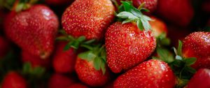 Preview wallpaper strawberries, berries, red, food