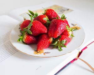 Preview wallpaper strawberries, berries, red, plate, book